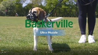 New Baskerville Ultra Muzzle How to Use and Fit