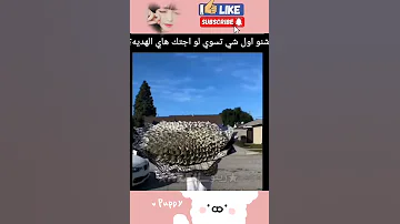 لايك وبعطيك شكوليته 