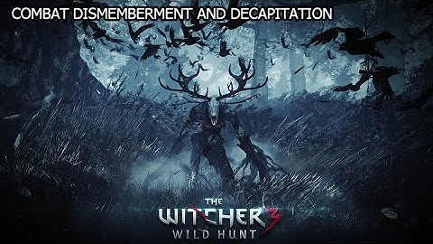 The Witcher 3: Wild Hunt  - Combat dismemberment and decapitation (PS4 gameplay)