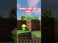 #minecraft #minecrafthorreur #gaming #dweller #horror #humour #clips #memes