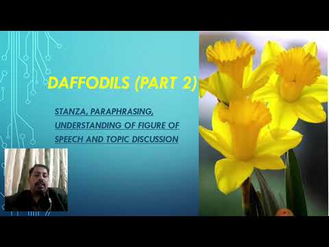 Видео: Daffodils - бүлгүүд ба сортууд. 2-р хэсэг