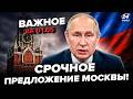 Everything Is Being Decided NOW Putin Is Begging For A Truce Zelensky S Three Words Have Made 