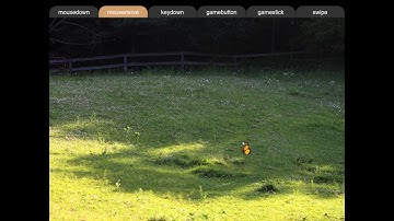 Canvas Coding Examples - 11 - Controls - with ZIM #HTML #JavaScript #CreateJS #ZIMjs
