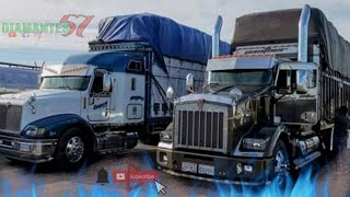 Les Seguimos Mostrando Los Portables Tortons Los Mas Chingones De Mexico