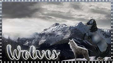 Wolves | Full MEP | Star Stable