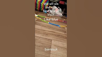 race of hexbug history