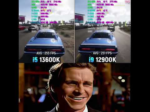 i5 13600k or i9 12900k