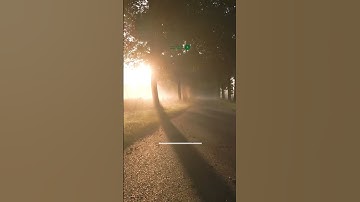 سورة الاخلاص بصوت محمود البنا - أخبر النبي ﷺ أنها تعدل ثلث القرآن.