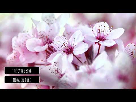 Nora En Pure - The Other Side