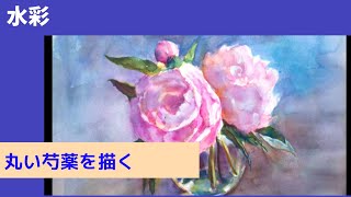 水彩 watercolor】丸い芍薬を描く - YouTube