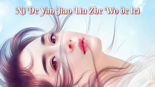 Ni de yan jiao liu zhe wo de lei