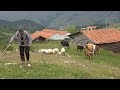 91 yaşında dağlarda gezen çoban - Belgesel