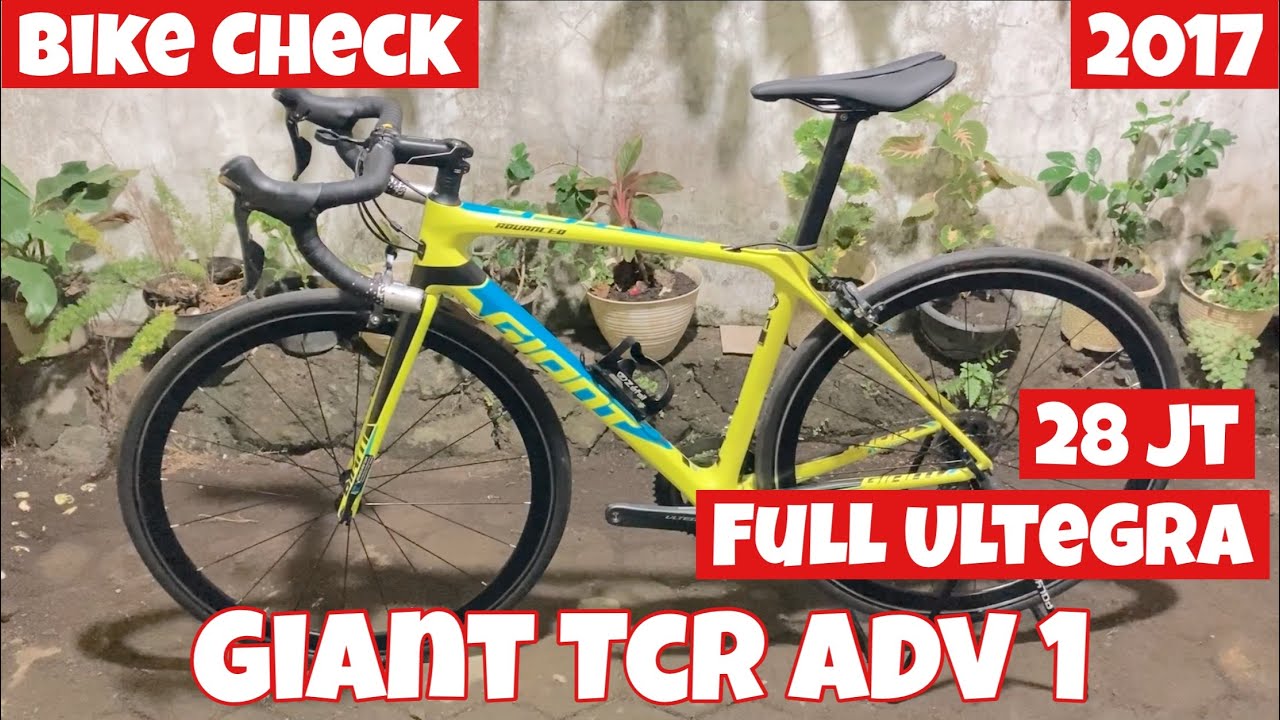 Giant TCR Advanced 1 (2017 
