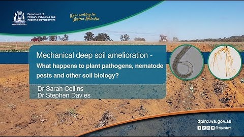 Mechanical deep soil amelioration