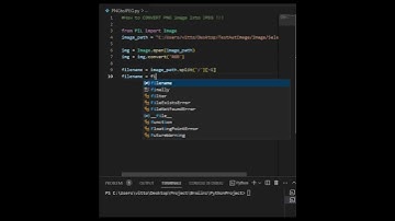 Python Tutorial: Converting PNG to JPG Image Format