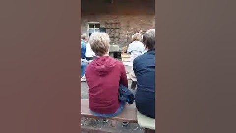Thumbnail of Brandon isaak vs creasy dog....