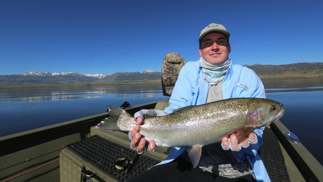 Fly Fishing for Large Trout on a Lake on Bridgeport Reservoir YouTube
