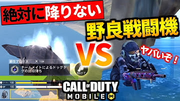 【CoD:MOBILE】絶対に降りない野良戦闘機 VS 地上で頑張るバトロワ【CoDモバイル】