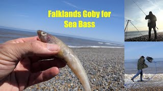 Falklands Goby for Sea Bass