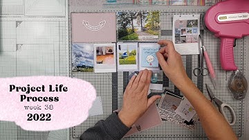 Project Life Process // Week 38 // 2022
