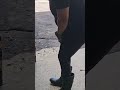 Video of adoptable pet named Blue