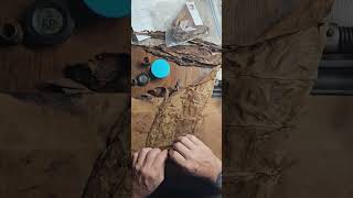 Hand-Bunching a Culebra Cigar — Rare Triple Twist Technique! | Pirates Cove Cigars Part 1