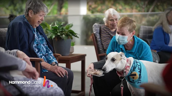 How Life Engagement is helping Australians living with #dementia
