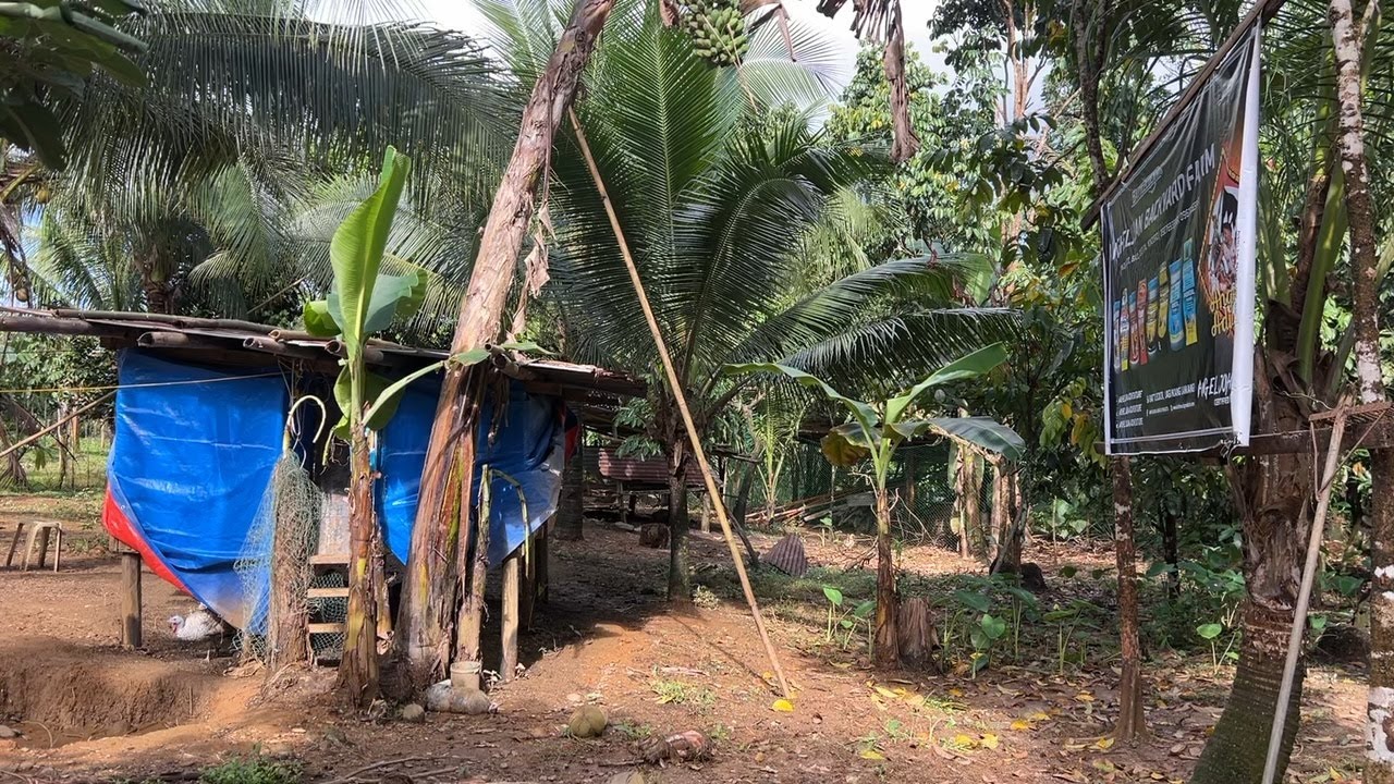 TIPS PARA SA MGA NEWBIE NA GUSTO MAG ALAGA NG KAMBING! MGA SAKIT NG KAMBING AT PAAANO SILA GAGAMOTIN