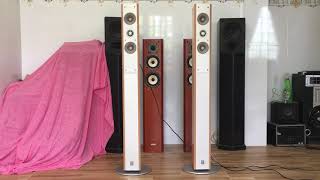 Đa ban Loa Cay Yamaha NS 225F keng Xeo beng lh 01265313265