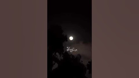 ولا تيأسوا من روح الله القارئ فارس عباد