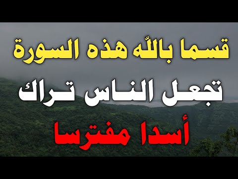 I swear to God, this Surah makes people see you as a fierce lion/Sh. Tawfiq Abu Al-Dahab