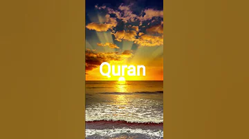Surah Noor Ayat 30 31 Urdu Quran Translation Yutubeshorts Quranictranslation 