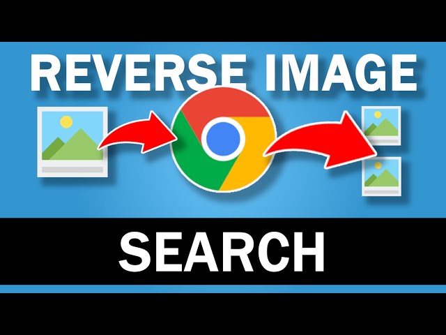 Img Lookup img-lookup