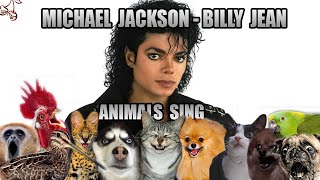 Michael Jackson  Billie Jean (Animal Cover)