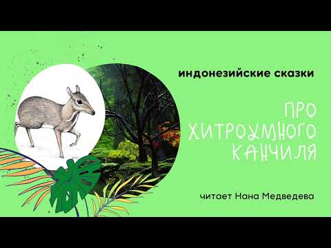 #длядетей Полтораста крокодилов хотят сожрать Канчиля / Индонезийские сказки // Подкаст Наны