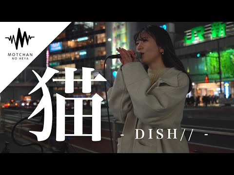 【激うま!!】めちゃくちゃ綺麗な歌声に立ち止まる人続出!? 猫 / DISH// （Covered By nonka）@nonka