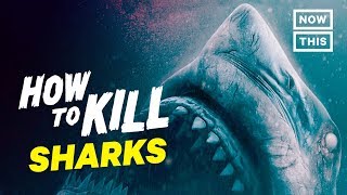 How to Kill Sharks | Slash Course | NowThis Nerd