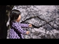 高橋優/さくらのうた