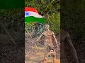 Army commandolife travel commando nature indianarmy viral