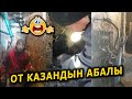 НООКАТТА абал УШУНДАЙ || КӨРСӨҢ МЫШЫК ЫЙЛАЙТ