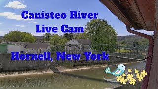 Canisteo River Live Cam 24/7 - Hornell, New York - 5-22-2026