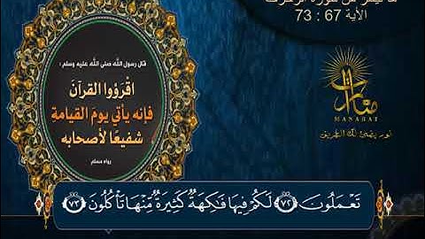تلاوة هادئة من سورة الزخرف ( 67 _ 73  ) القارئ الشيخ / عبدالرحمن ربيع