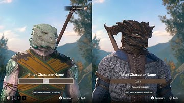 Two customized characters for solo player in Baldur