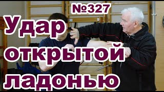 Отработка ударов открытой ладонью.