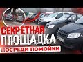 Распродажа автоконфиската. Рай для перекупа)