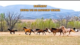 CONTROVERSIAL WILD HORSES IN AUSTRALIA ARE HUNTED AND CONSIDERED PESTS