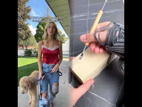 Don T Try This At Home Dogs Dogsoftiktok Dogtok Dating Funnydog