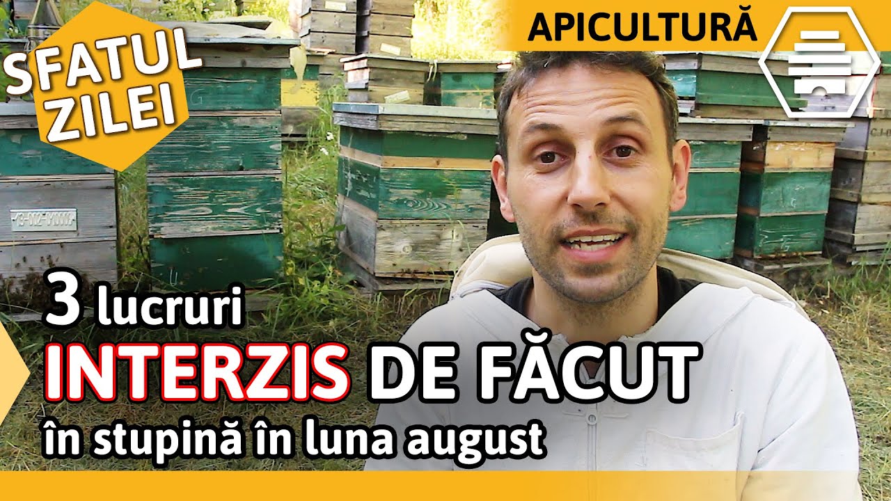 lucruri de făcut când începeți să întâlniți mai întâi