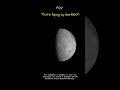 POV: You're flying by the Moon #artemis