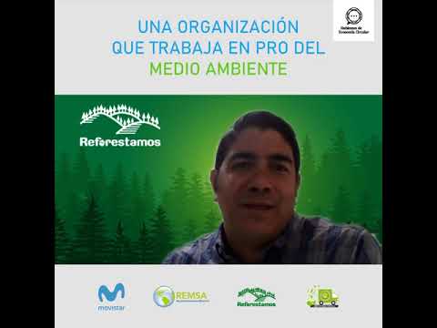 Conoce la gran